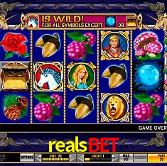 realsbet Rio de Janeiro - Bonus Terms